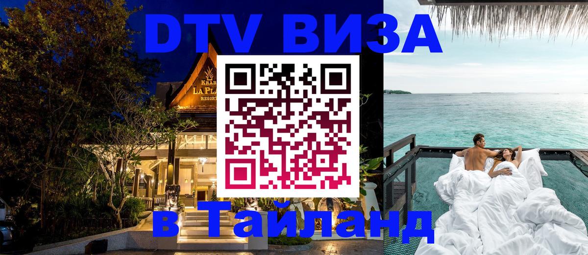 Оформить DTV визу в Тайланд Тирана 
