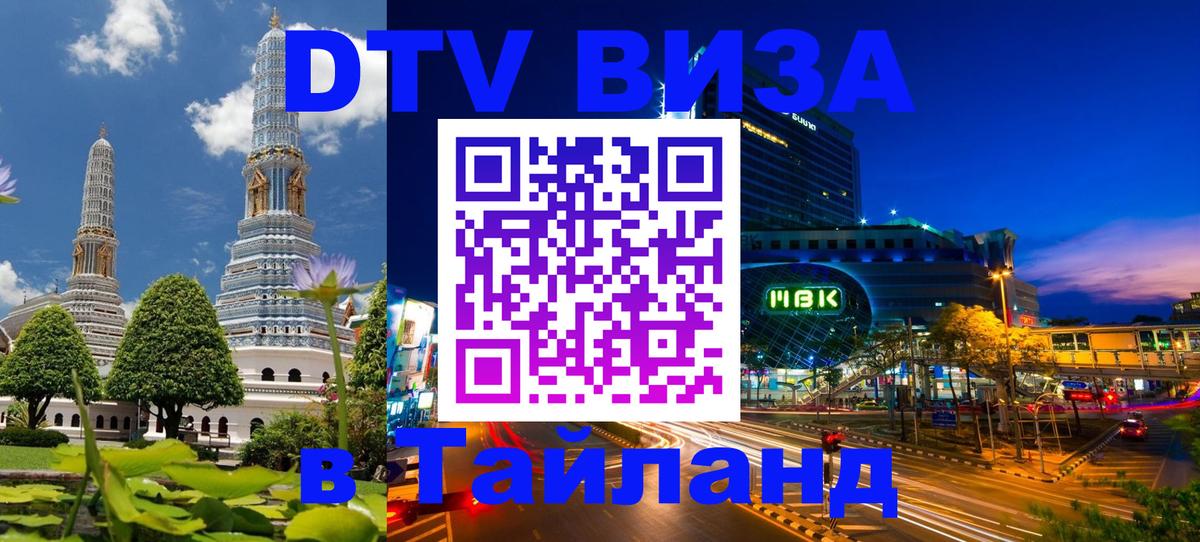 Оформление DTV визы под ключ: стоимость и тарифы, только загранпаспорт - Тирана  20.11.2025 